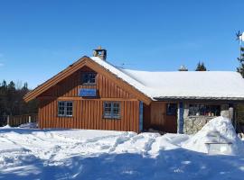 Cozy log cabin at beautiful Nystølsfjellet，位于高尔的木屋