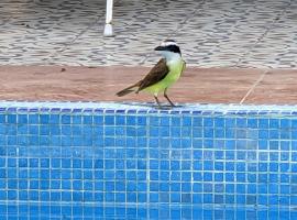 "The Blue" eco lodge，位于巴利亚多利德的酒店