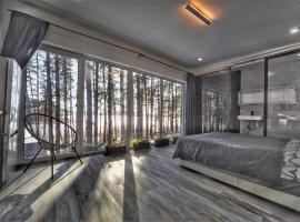 GaujaClub - our BOSE and Bang&Olufsen lofts on a lake，位于Gauja的Spa酒店