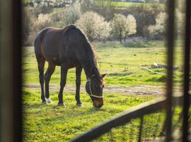 Ферма "Намасте"，位于Lovech的酒店