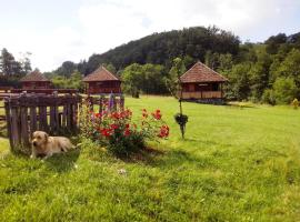 Etno village Gostoljublje，位于Kosjerić的度假园