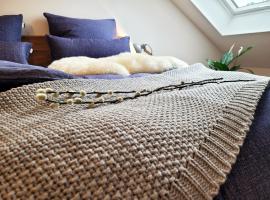 Seezeit - gemütliche Ferienwohnung, Tiefgarage, Cospudener See，位于马克莱贝格的酒店