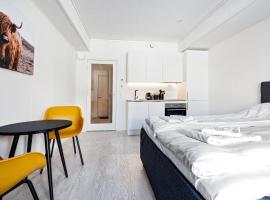 Stylish and serviced Studio apartment in Lofoten，位于斯沃尔韦尔的酒店