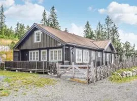 Amazing Home In Sjusjøen With Kitchen