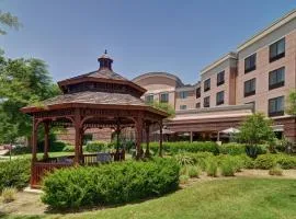 SpringHill Suites by Marriott Dallas DFW Airport East Las Colinas Irving
