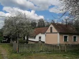 Orljak