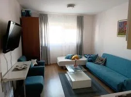 Stan na dan Brčko