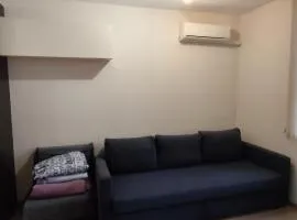 Apartment in the Center 1