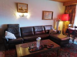 Appartment 53m2 gross möbliert Internet TV Küche Schöner Aussicht nähe Olten und Aarau PP gratis，位于Lostorf的酒店