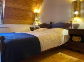 Luxurious Townhouse Petelin