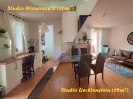 Studios Am Wienerwald，位于新特尔布鲁维也纳地底湖附近的酒店