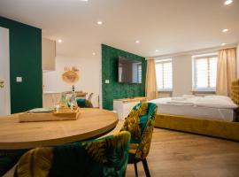 Apartament Książęcy Gold klimatyzacja，位于博莱斯瓦维茨的酒店