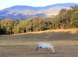 Yackandandah farm homestead，位于Yackandandah的酒店