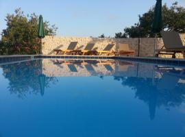 Villa Antonija heated private pool, near Dubrovnik,8plus 2 p ideal for families and groups，位于西利皮的带泳池的酒店