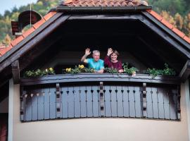 罗尼杰克生态旅游农家乐，位于斯洛文尼亚格拉代茨的乡村别墅