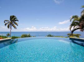 Beachfront Villa - House of Bamboo, Infinity Pool，位于萨武萨武的别墅