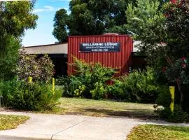 Bellarine Lodge Sleeps 30