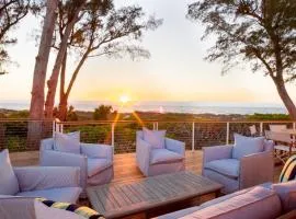 Arcadia-Stunning Gulf Front Beauty! home