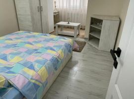 Apartament 2 camere ultracentral，位于Giurgiu的酒店