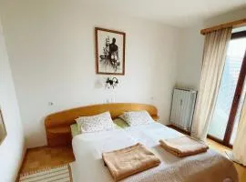 Charming and Cozy Apartment Sara