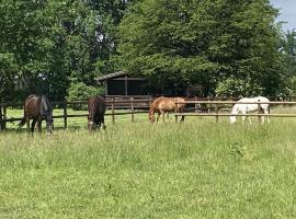 Cozy holiday home on a horse farm in the Lüneburg Heath，位于埃舍德的度假屋