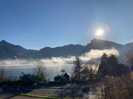 Ferienwohnung Traunkirchen mit Seeblick，位于特劳恩基兴的酒店