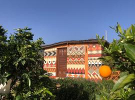 Afrikan Krisant Tenerife, Casa Rural Ecologica，位于Arafo的酒店