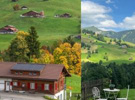 Engel Ingold Lodge Chalet "Bärgblümli"，位于哈布凯恩的酒店