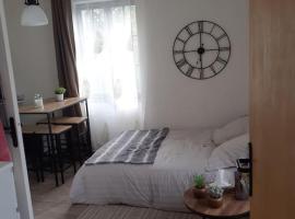 Superbe petit studio plein centre ville，位于菲雅克的酒店