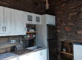 by karakas Γαστρί