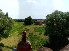 Terres de Saône