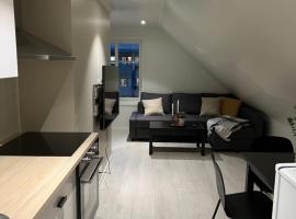 Ny og moderne 2-roms leilighet，位于波多的度假短租房