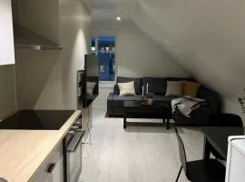 Ny og moderne 2-roms leilighet