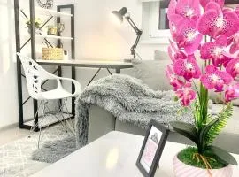 -Daniels Suite -Close to airport and railway station