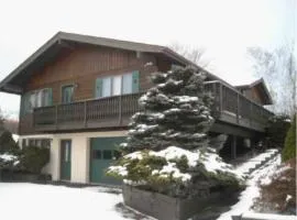Mountain view apartment, 5mins to Ski Area!
