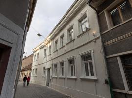 Richter Residence，位于布拉索夫的住宿加早餐旅馆