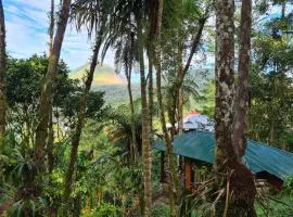 Rimba eco Resort