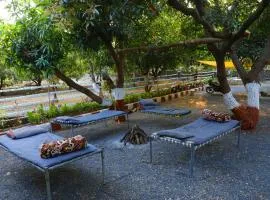 Gir Ganesh Farm & Resort