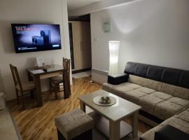 OPTIMUM 2 - One bedroom apartment，位于泽尼察的酒店