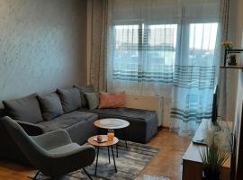 Apartman Milic Pirot-Zapadni Kej 10，位于皮罗特的酒店