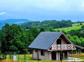 Domek pod Ostoją Góry Sowie，位于Łomnica的酒店