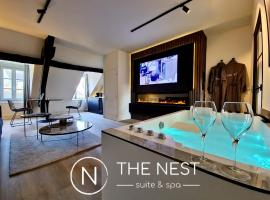 The Nest. duplex jacuzzi hyper centre de Senlis，位于桑利斯的公寓
