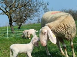 B&B Naturin - Vegan Eco Farm，位于Lauriano的酒店