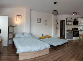 Studio Panagyurishte