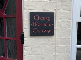 Cherry Blossom Cottage ,4 Cherry Street , Old Town ,Stratford Upon Avon，位于Shottery的家庭/亲子酒店