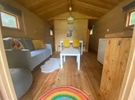 Blokhut 4-persoons De Blauwe Lantaarn