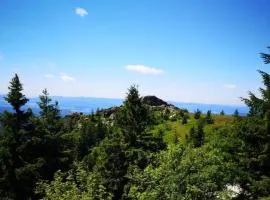 Idyllisch gelegene Ferienwohnung Xaver im Herzen des bayerischen Waldes