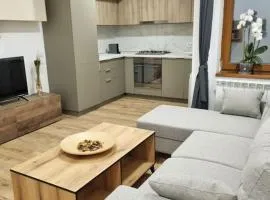 Cozy apartment near city center