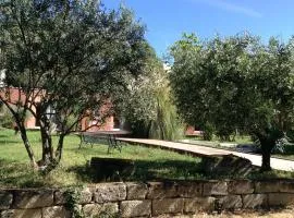 树上套房住宿加早餐旅馆