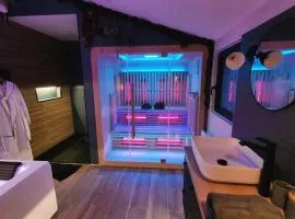 SAUNA, BALNEO, TERRASSE, PARKING, Le tout totalement privé dans maison indépendante à la décoration soignée, ensoleillé et sans vis à vis, Prise VE, Calme et discrétion Garantis, Idéalement situé pour visiter la région, Animaux bienvenues